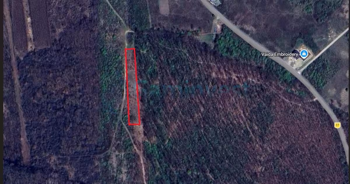 Teren Construcții intravilan de 3210 mp, în Paleu