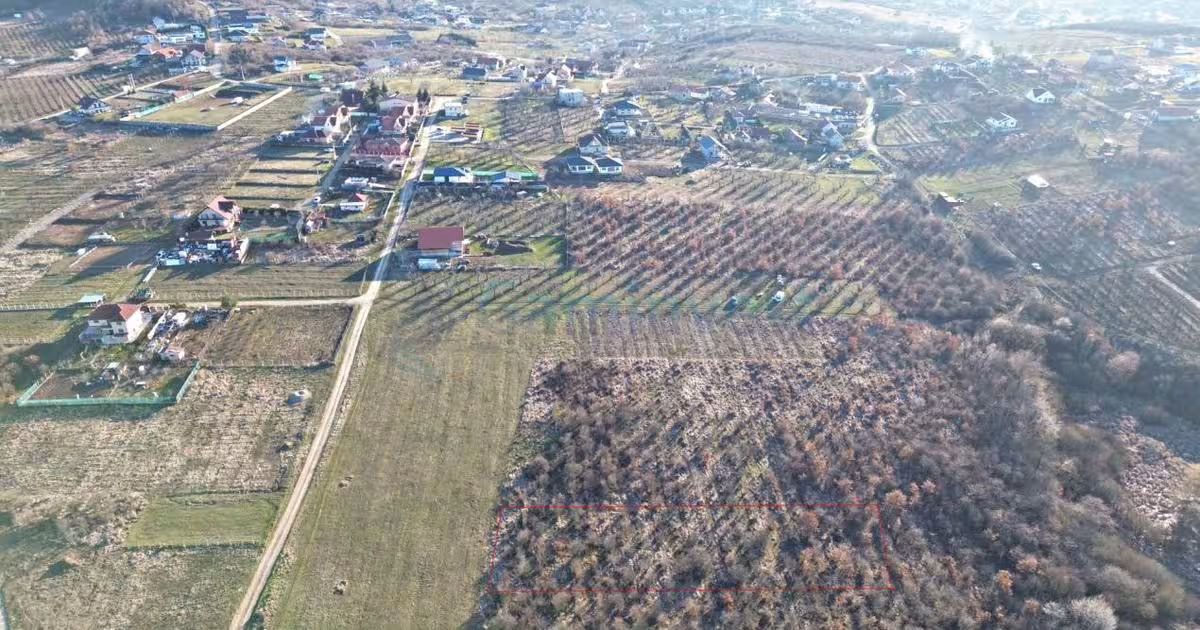 Teren Construcții intravilan de 4230 mp, în Paleu