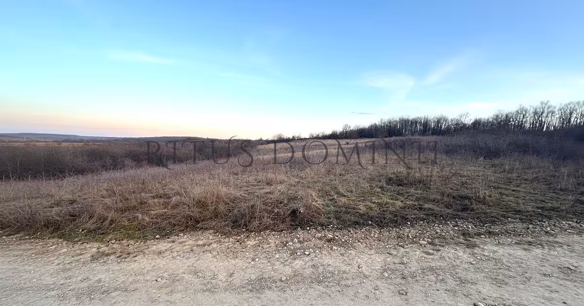Teren Construcții intravilan de 8592 mp, în Paleu
