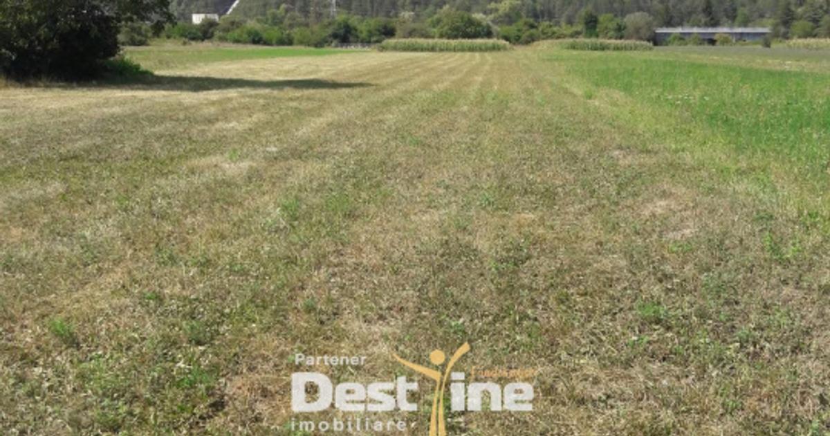 Teren Construcții intravilan de 4488 mp, în Pângărați