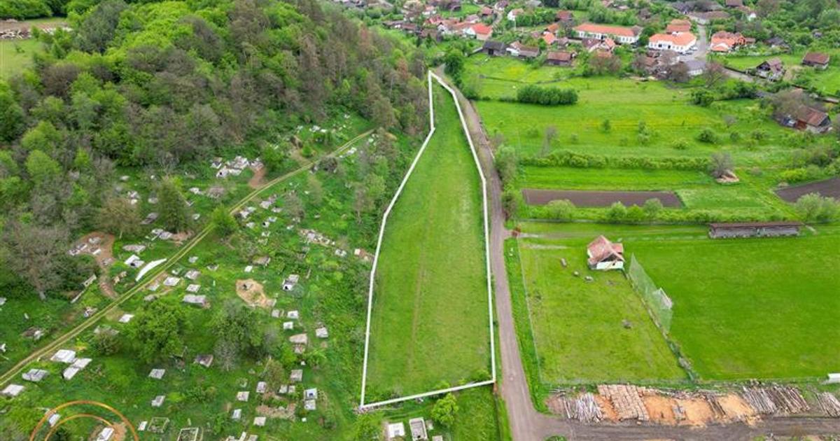 Teren Construcții intravilan de 6500 mp, în Păpăuți