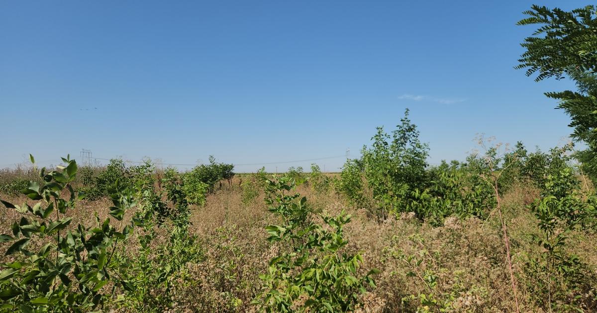 Teren Construcții intravilan de 1000 mp, în Pasărea