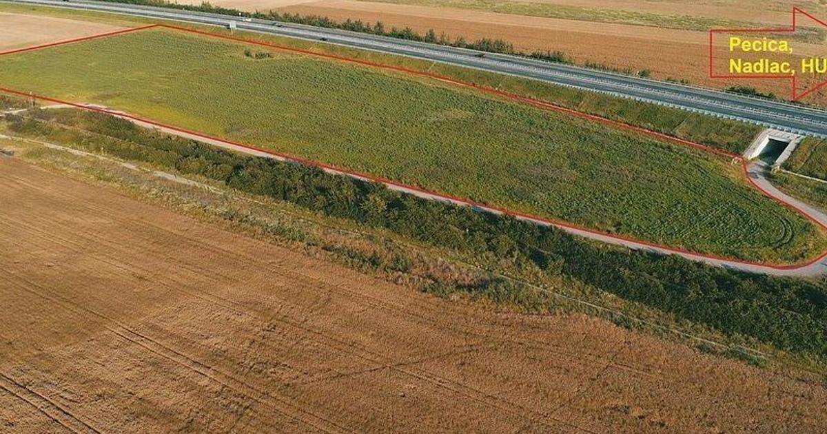 Teren Construcții extravilan de 35000 mp, în zona Exterior Sud, Pecica