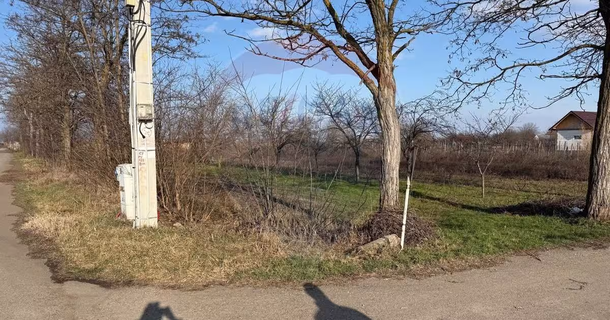 Teren Construcții intravilan de 2300 mp, în Petrești