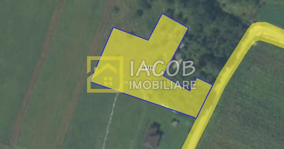Teren Construcții intravilan de 3350 mp, în Petricica
