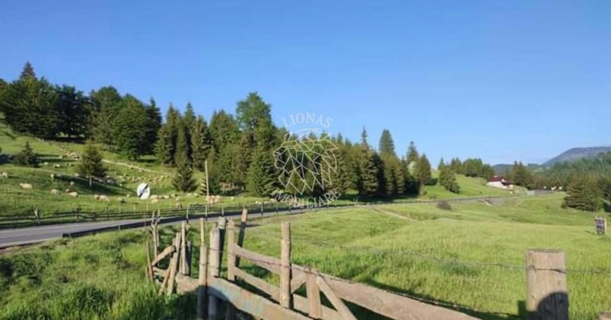 Teren Construcții extravilan de 11800 mp, în Piatra Fântânele