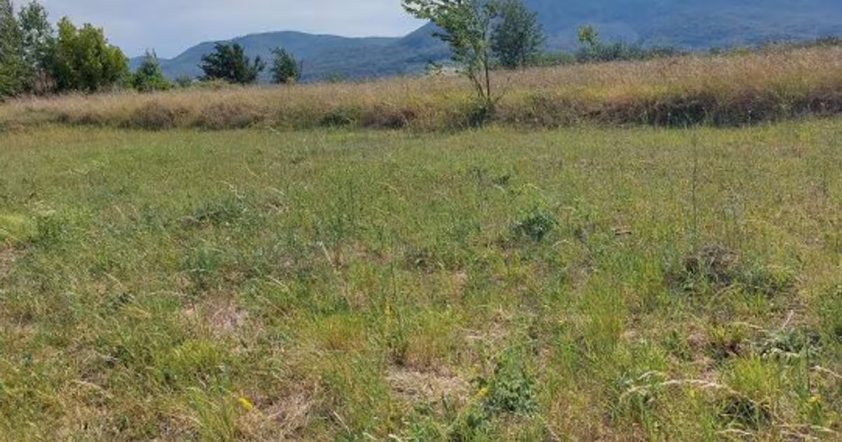 Teren Construcții intravilan de 1100 mp, în zona 1 Mai, Piatra-Neamț