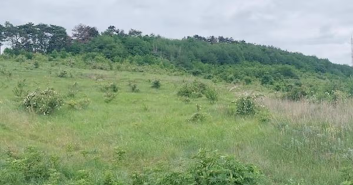 Teren Construcții intravilan de 1720 mp, în zona 1 Mai, Piatra-Neamț