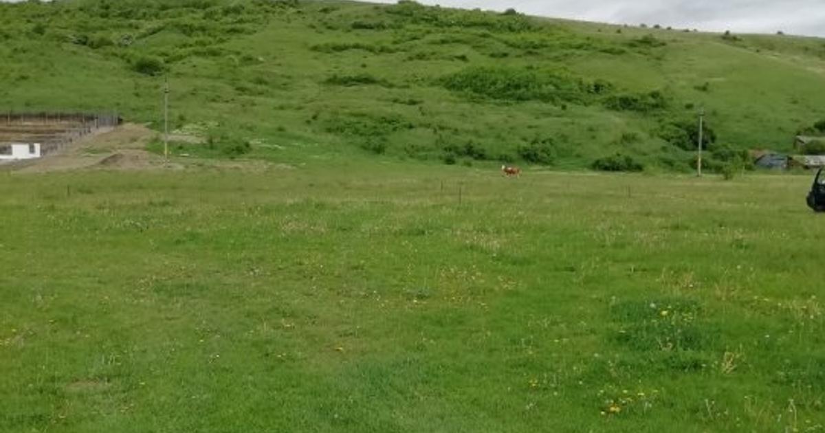 Teren Construcții intravilan de 1350 mp, în zona Dărmănești, Piatra-Neamț