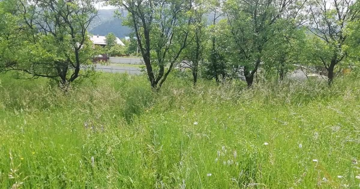 Teren Construcții intravilan de 1800 mp, în zona Exterior Vest, Piatra-Neamț