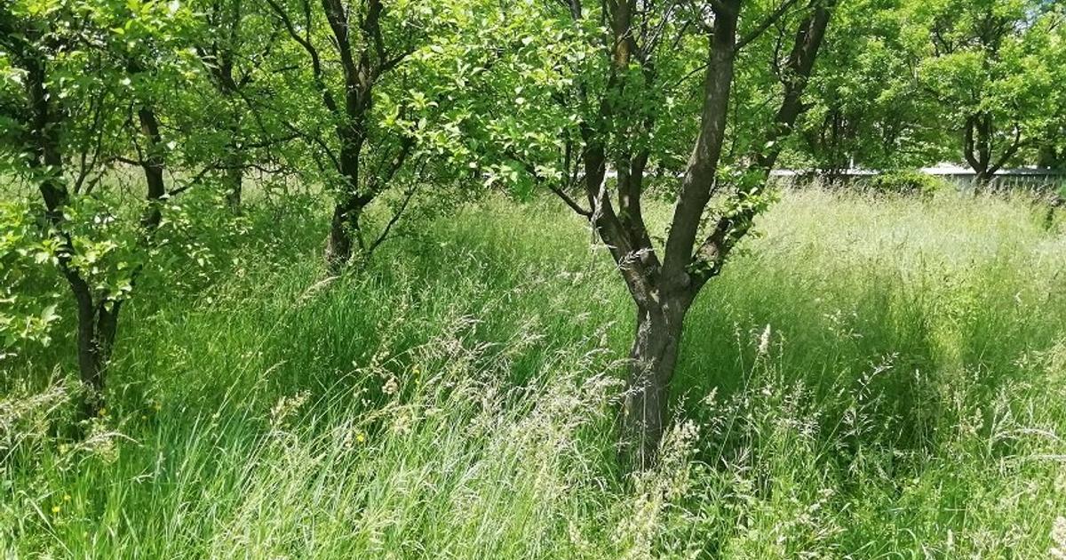 Teren Construcții intravilan de 1800 mp, în zona Exterior Vest, Piatra-Neamț