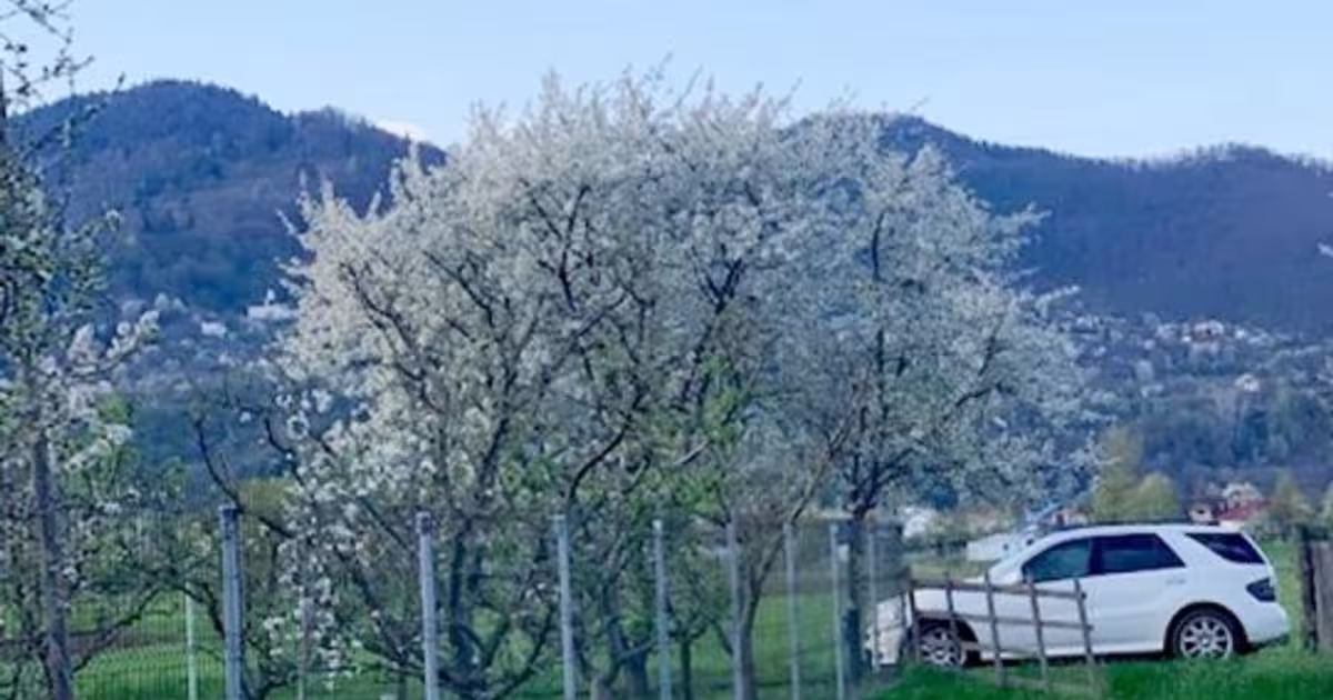 Teren Construcții intravilan de 2990 mp, în zona Exterior Vest, Piatra-Neamț