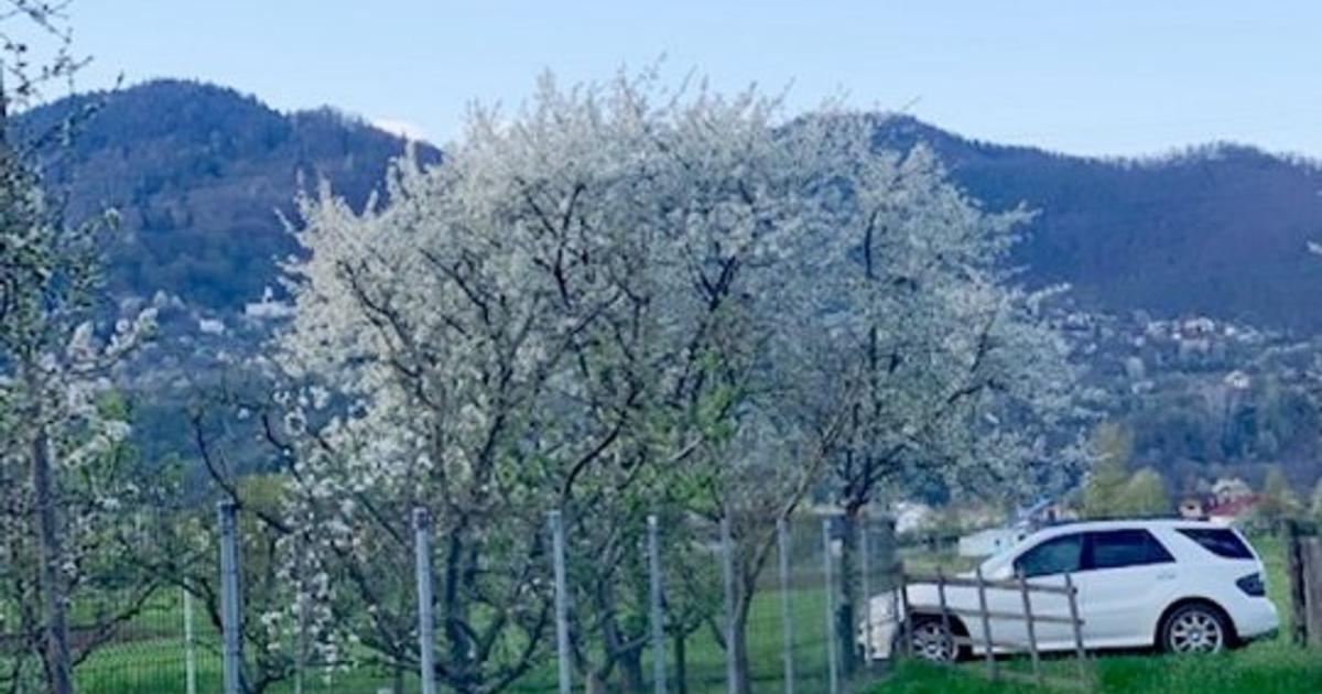 Teren Construcții intravilan de 2990 mp, în zona Exterior Vest, Piatra-Neamț