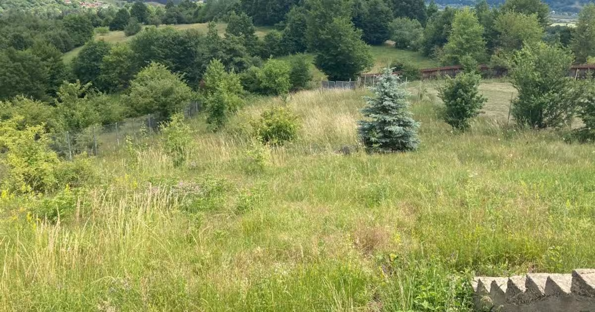 Teren Construcții intravilan de 3000 mp, în zona Exterior Vest, Piatra-Neamț