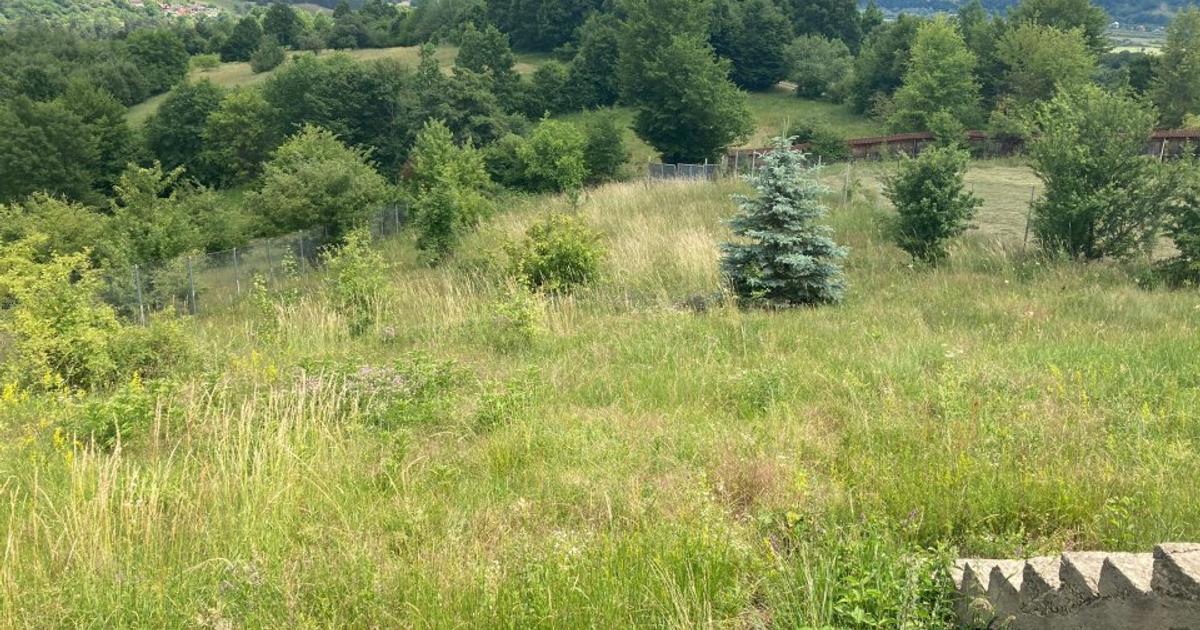 Teren Construcții intravilan de 3000 mp, în zona Exterior Vest, Piatra-Neamț