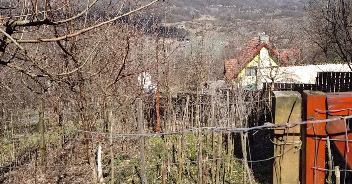 Teren Construcții intravilan de 1050 mp, în Pietrari (Păușești-Măglași)