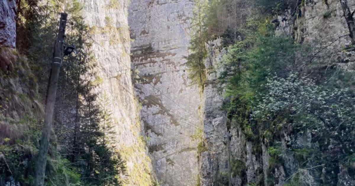 Teren Construcții intravilan de 1585 mp, în Podu Dâmboviței