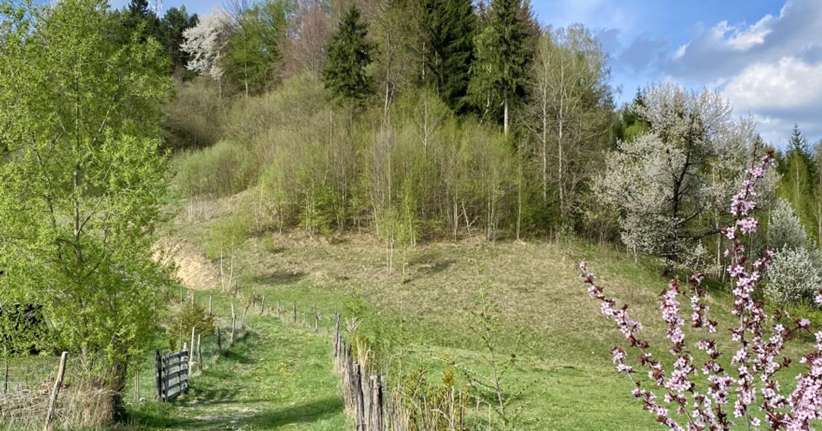 Teren Construcții intravilan de 1585 mp, în Podu Dâmboviței