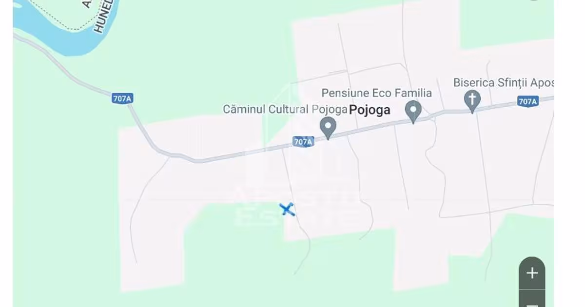 Teren Construcții intravilan de 10000 mp, în Pojoga