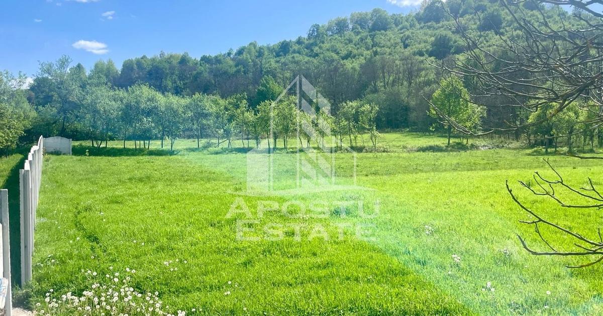 Teren Construcții intravilan de 10000 mp, în Pojoga