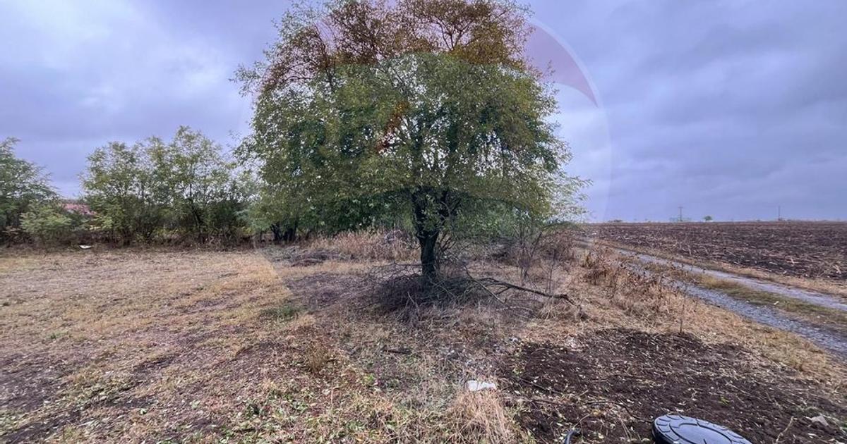 Teren Construcții intravilan de 1700 mp, în Polcești