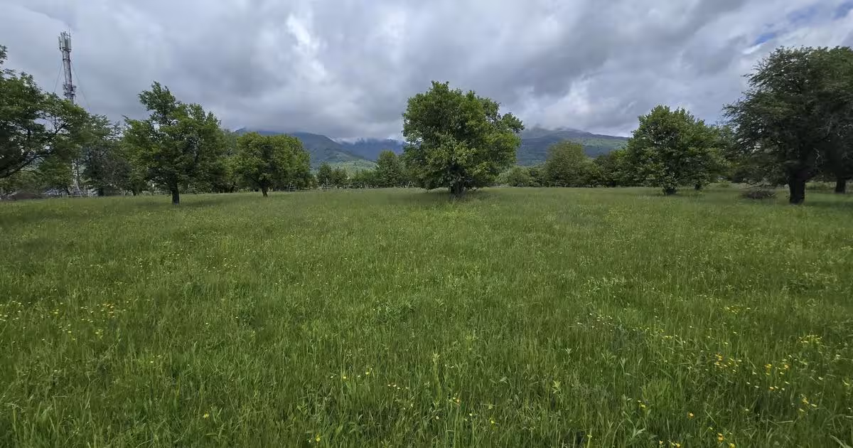 Teren Construcții intravilan de 715 mp, în Prundu Bârgăului