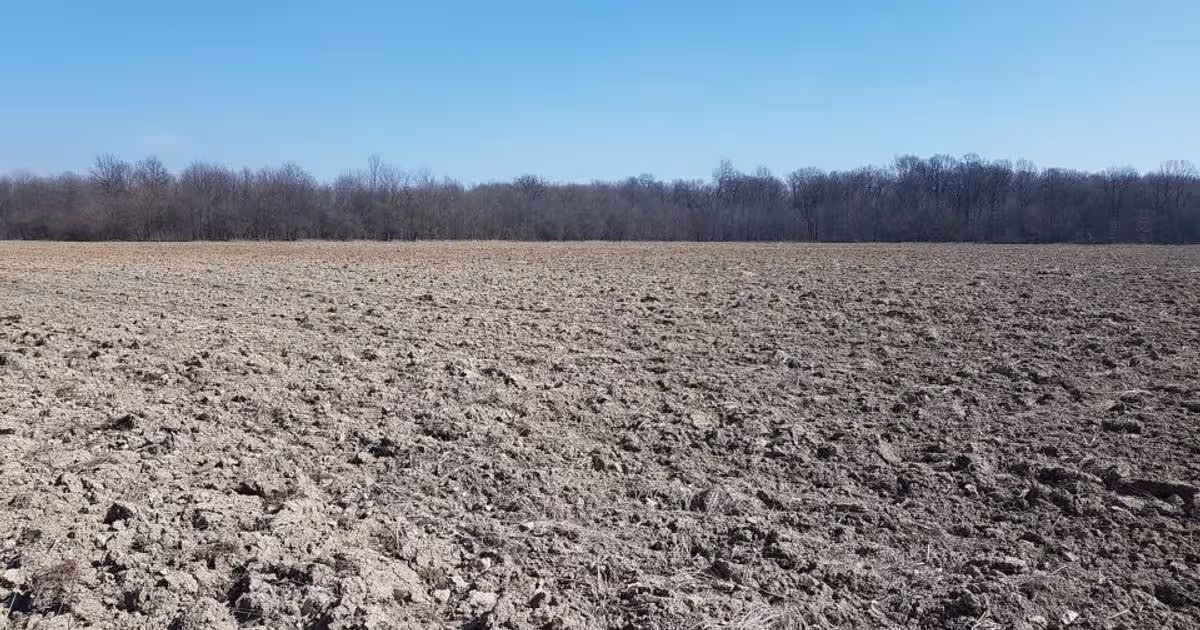 Teren Construcții intravilan de 30000 mp, în Răcari