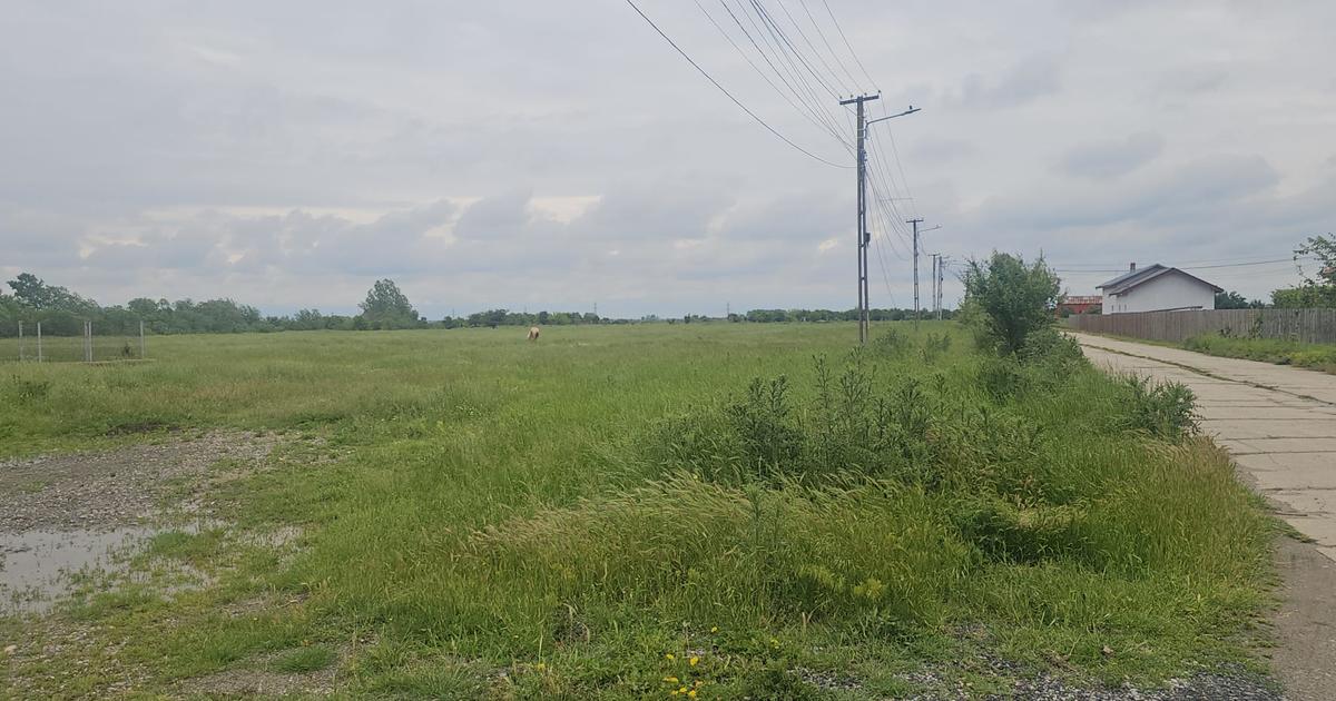 Teren Construcții intravilan de 47000 mp, în Răcari