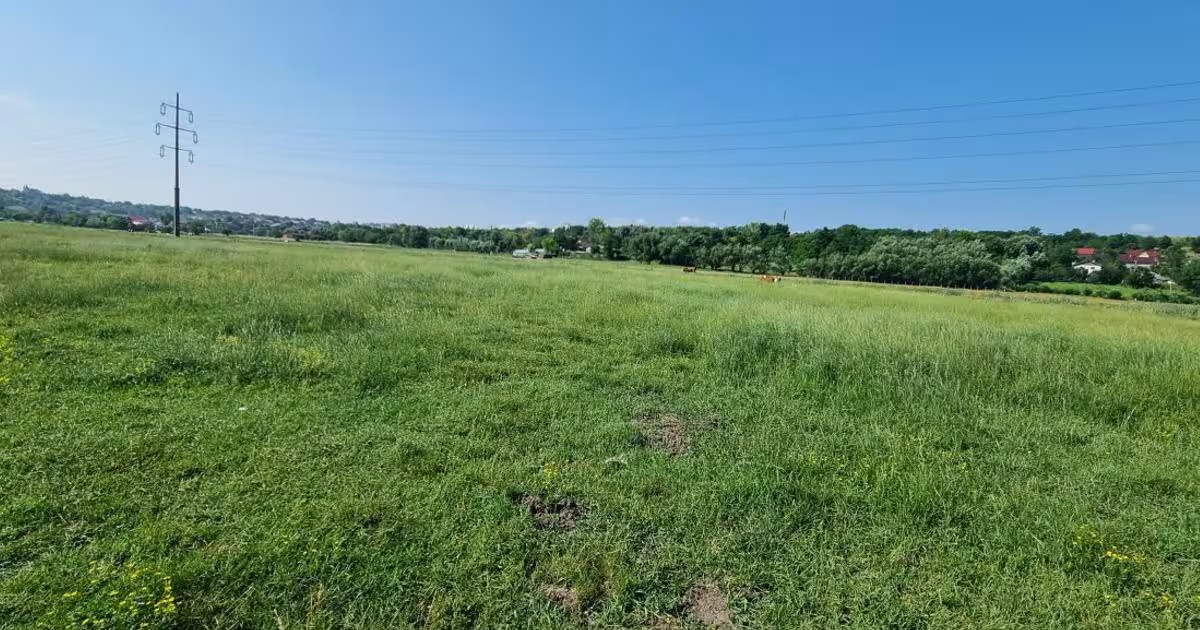 Teren Construcții intravilan de 3300 mp, în Răchiți