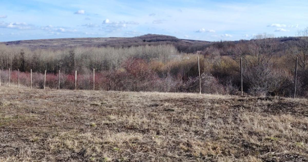 Teren Construcții de 117000 mp, în Râmeț