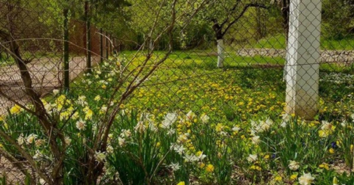 Teren Construcții intravilan de 5660 mp, în zona Sud, Reșița