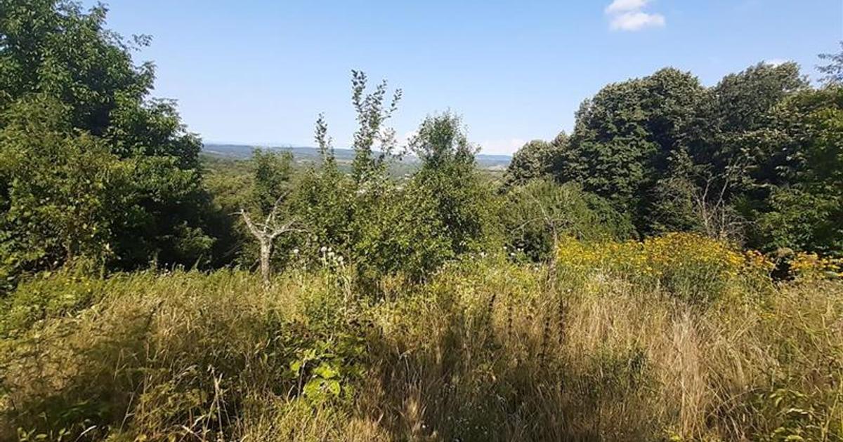 Teren Construcții intravilan de 5500 mp, în zona Vest, Reșița