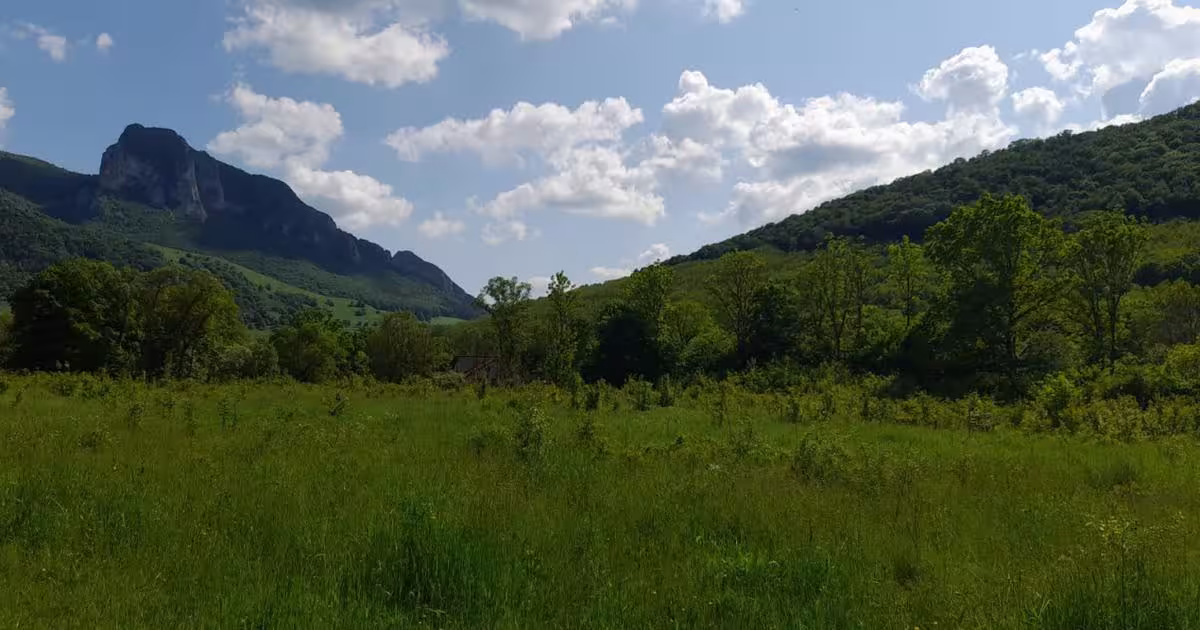 Teren Construcții intravilan de 1000 mp, în Rimetea