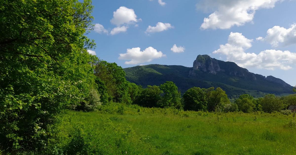 Teren Construcții intravilan de 1000 mp, în Rimetea