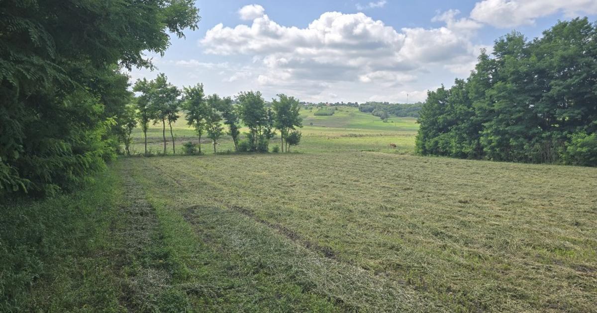 Teren Construcții intravilan de 4725 mp, în Roma