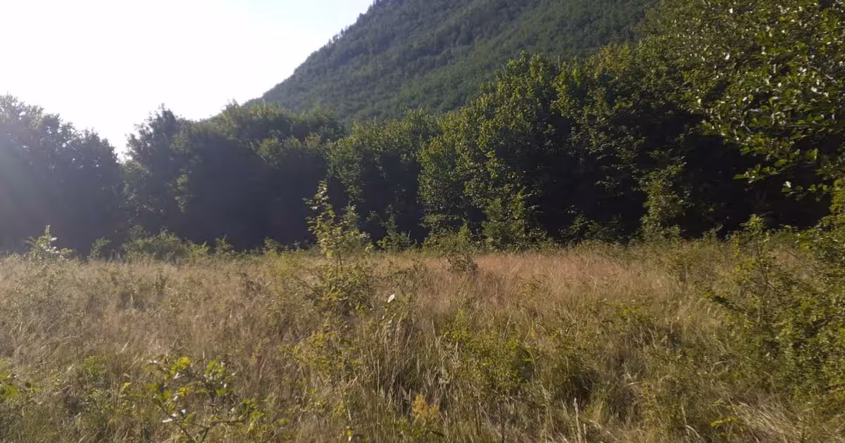 Teren Construcții extravilan de 700 mp, în Roșcani