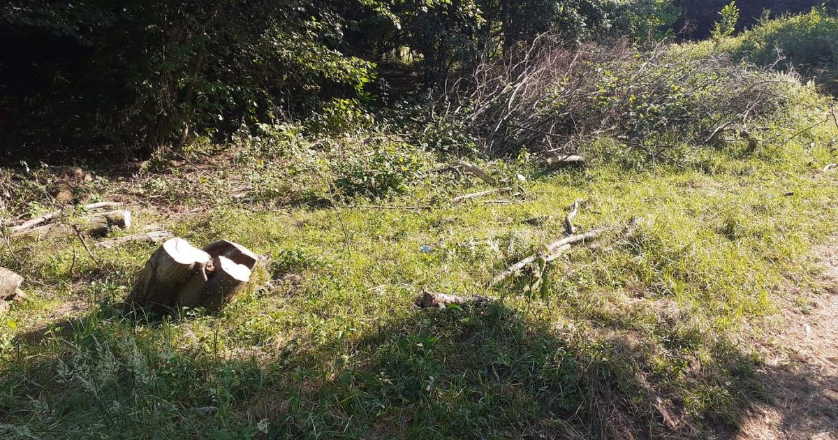 Teren Construcții intravilan de 700 mp, în Roșcani