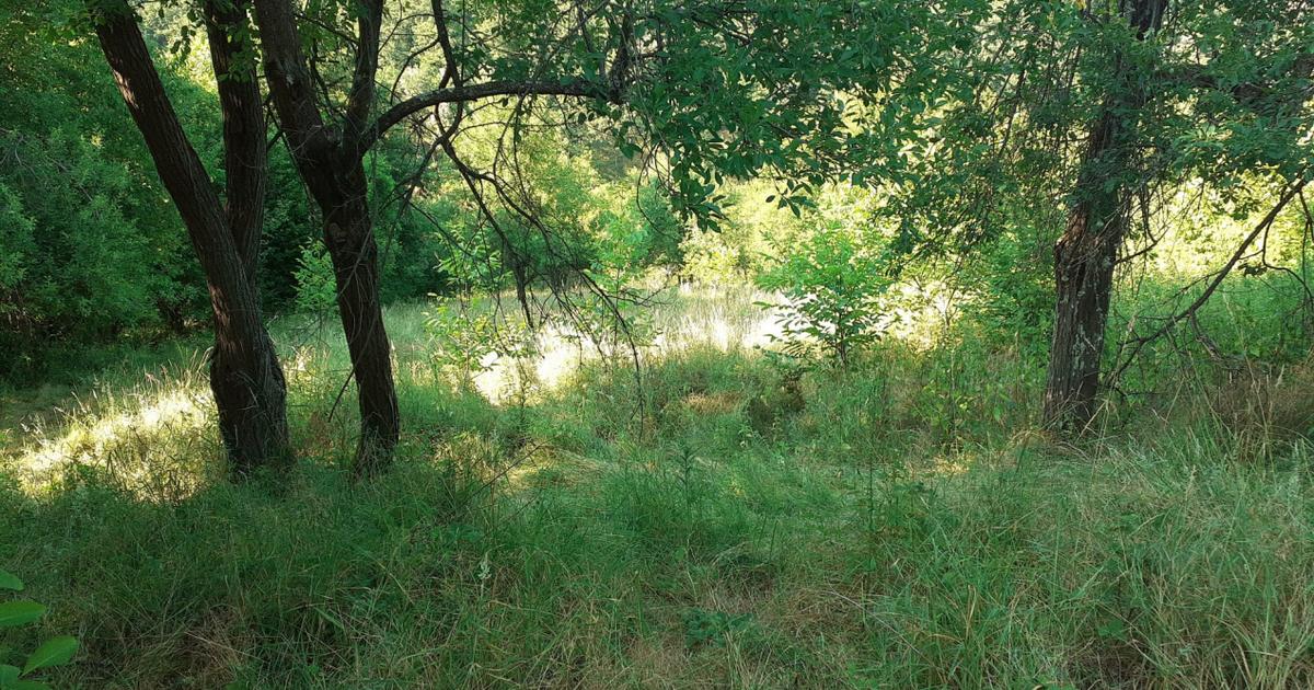 Teren Construcții extravilan de 700 mp, în Roșcani