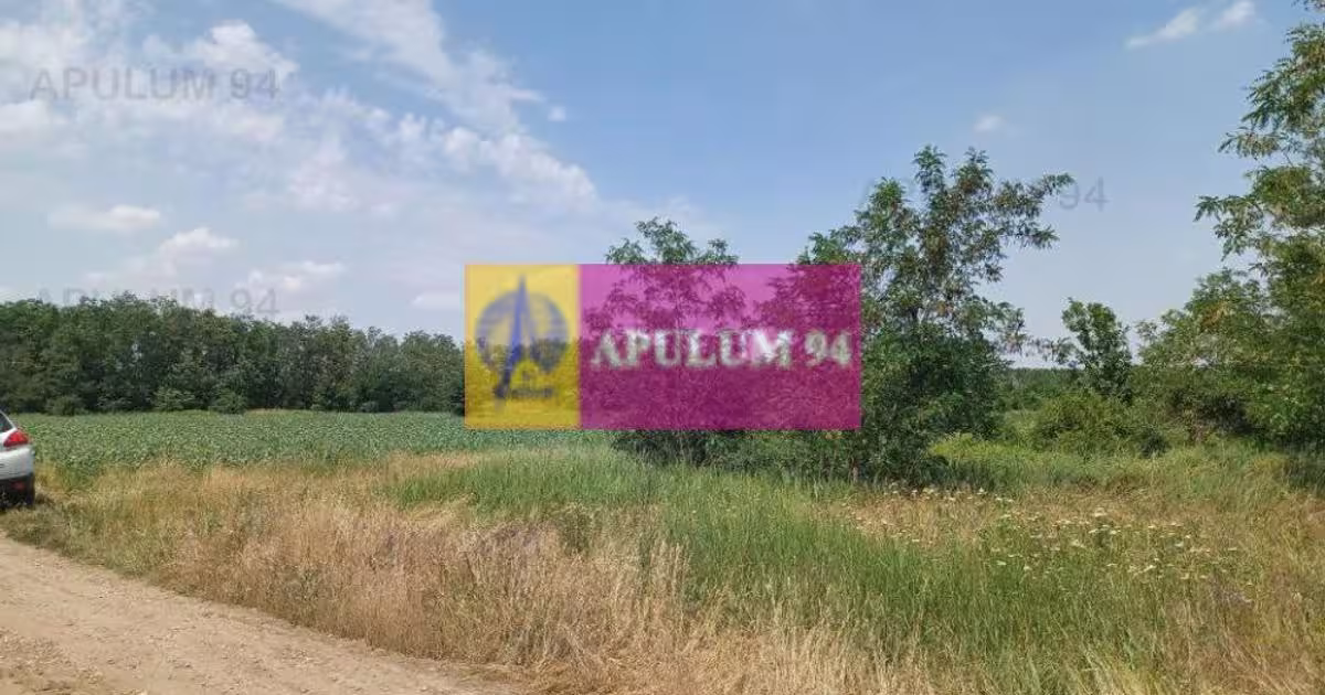 Teren Construcții intravilan de 12620 mp, în Săbăreni