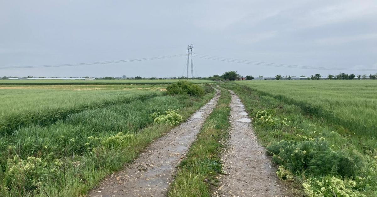 Teren Construcții intravilan de 4801 mp, în Săbăreni