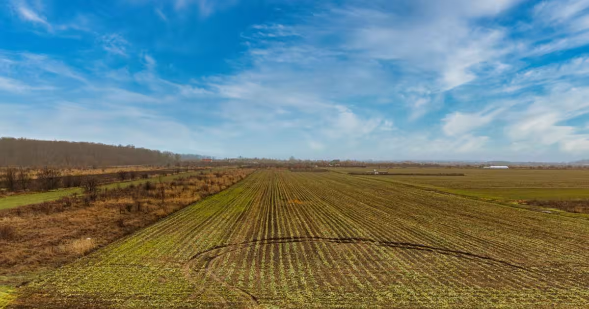 Teren Construcții intravilan de 5040 mp, în Săbăreni