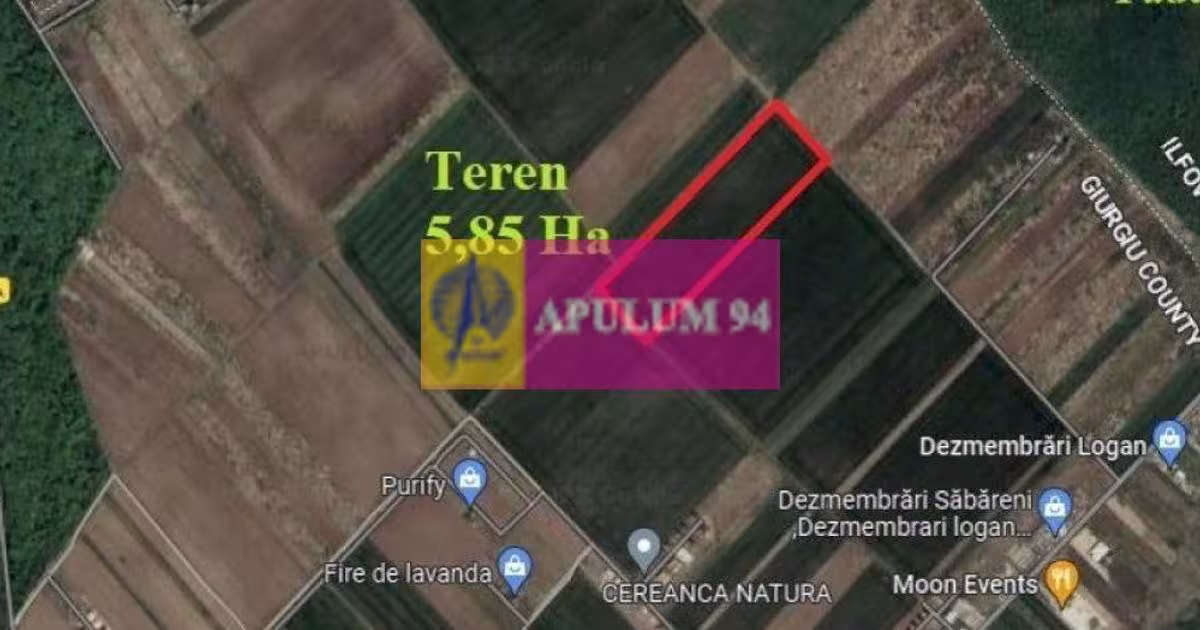 Teren Construcții intravilan de 58500 mp, în Săbăreni