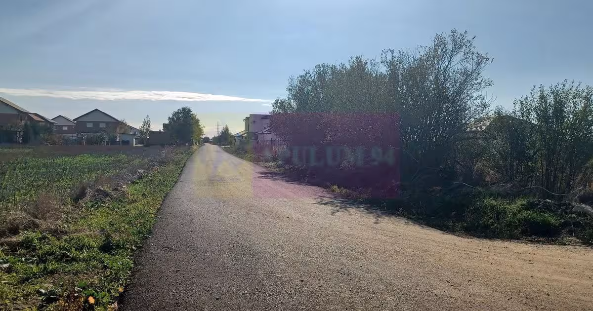 Teren Construcții intravilan de 6293 mp, în Săbăreni