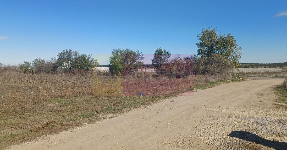 Teren Construcții intravilan de 6293 mp, în Săbăreni