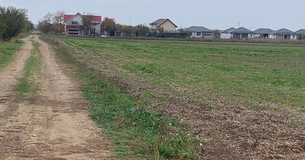 Teren Construcții intravilan de 6800 mp, în Săbăreni