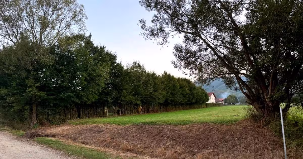 Teren Construcții intravilan de 2000 mp, în Sadu