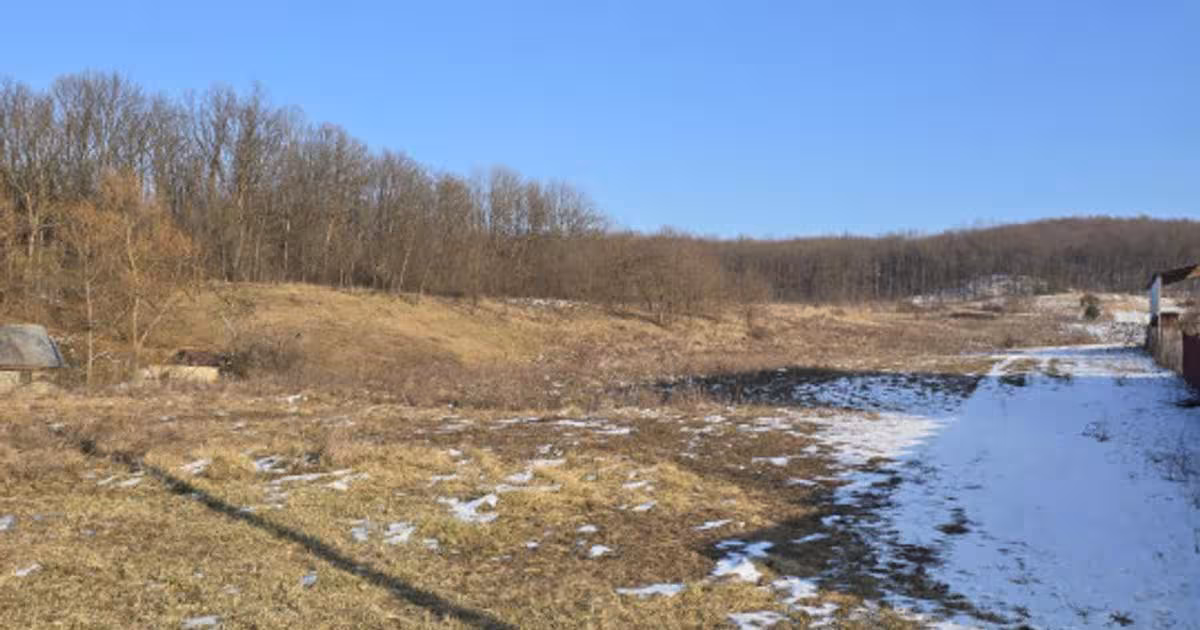 Teren Construcții de 10175 mp, în Sănduleni