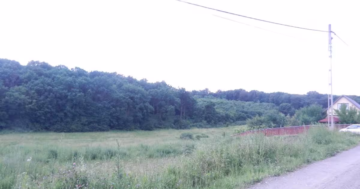 Teren Construcții intravilan de 2500 mp, în Sântana de Mureș
