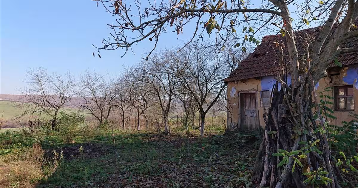 Teren Construcții intravilan de 2583 mp, în Sântelec