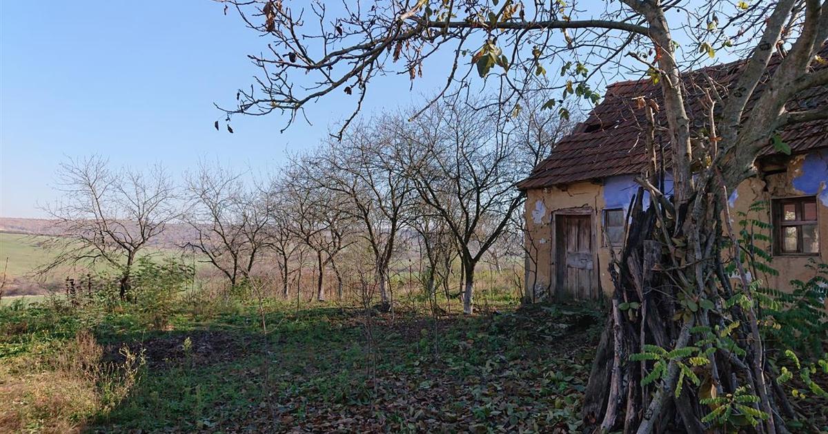 Teren Construcții intravilan de 2583 mp, în Sântelec